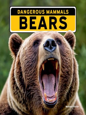 cover image of Bears